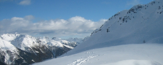 Cagnon